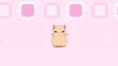 raz.webm