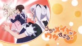 pum.webm