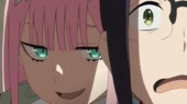 15464619884390.webm
