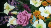 .webm
