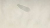 15473393804950.webm