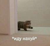 QwCSRONJMw8.jpg