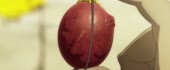 berserk golden age.webm