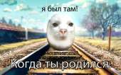 13042254508493.png