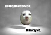 13042259211086.jpg