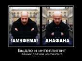 13204059251139.jpg