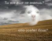 13224146334413.jpg