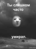 13224145272428.jpg