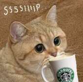 1341660333001.jpg