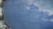 .webm