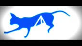 1551470054529.mp4