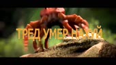 15501266164230.mp4