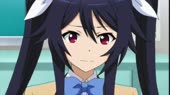15417908575890.webm