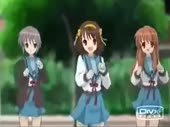 15289955642600.webm
