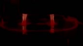 15251297425080.webm