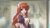 15289954433170.webm