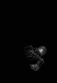 берсерк (8).webm