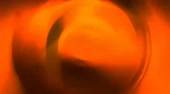 чайки.webm