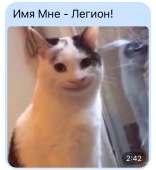 85CA7EA3-D9F9-4989-9C48-D60AF34E5DCC.jpeg