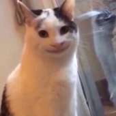 15526072129460.jpg