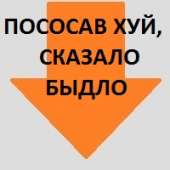 15404871133700.jpg