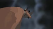 15526784448460.webm