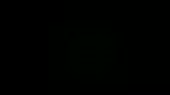 15531129320010.webm