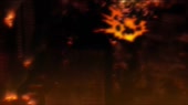 Сергей Шнуров.webm