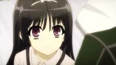 15522527236540.webm