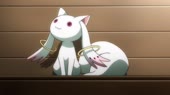 1553377333676.webm