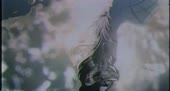 ShapeOfVoice.webm