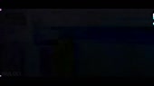 2018eva.mp4