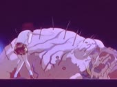 .mp4