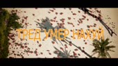 15487766741380.mp4