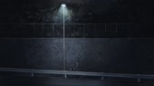 1553463754021.webm