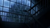 1553467264556.webm