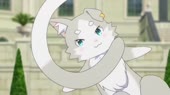 154.webm