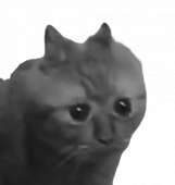 нара-removebg.png