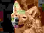 vO9iMuuyoP8-removebg.png