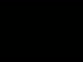 15555931957210.mp4
