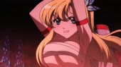 sena.webm