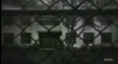 1557899292504.mp4