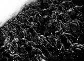 берсерк (14).webm