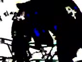 15496248319380.webm