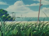 15574751677750.webm