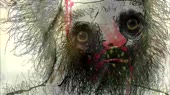 еееx.webm