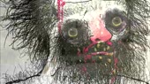 еееx(1).webm