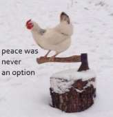 2LsXQ.png