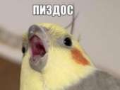 15078314807740.jpg