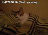 rTSn9wY4RQ4.jpg
